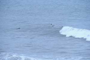 A6500977